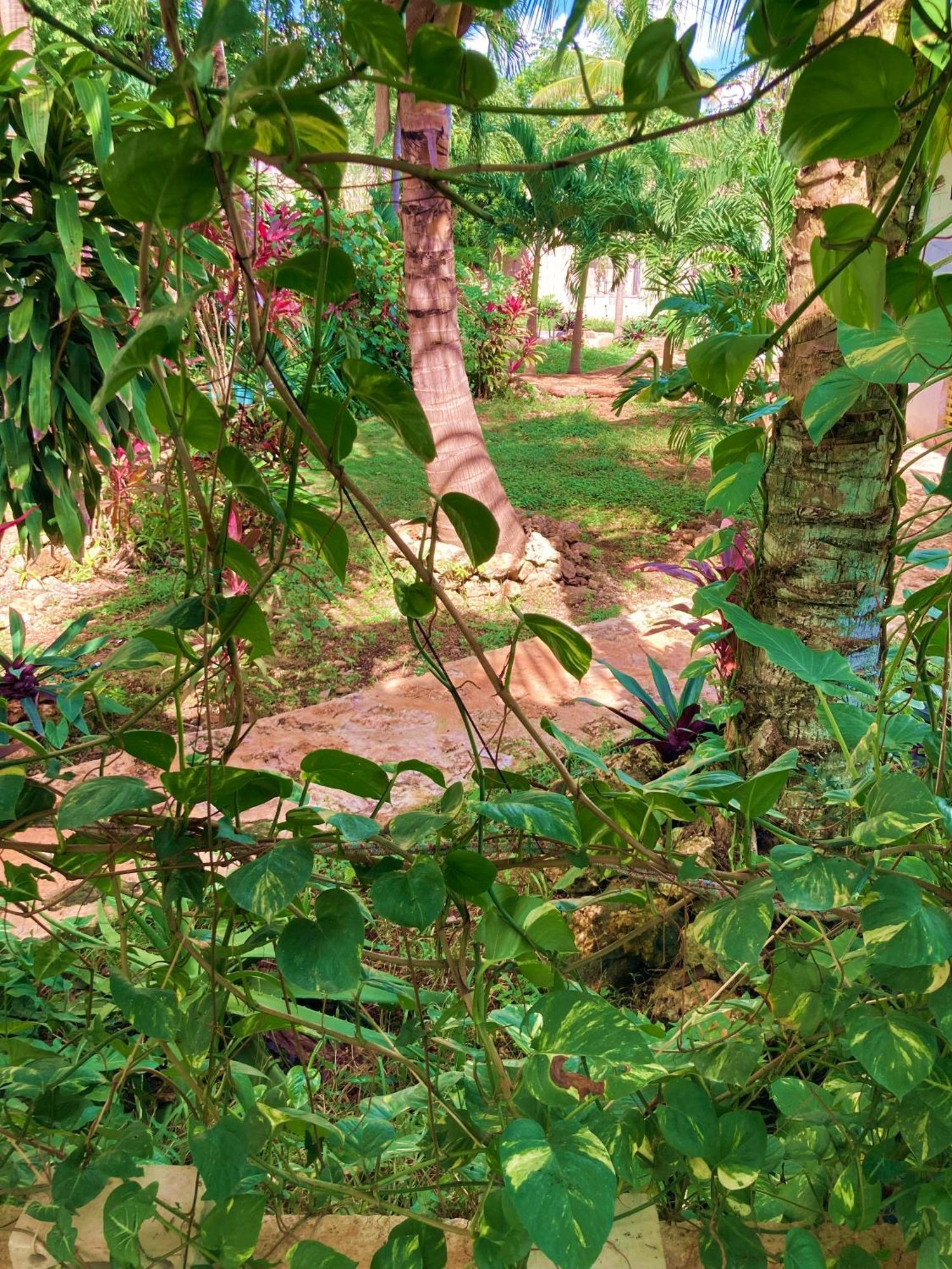 Green Paradise Leona Vicario 外观 照片